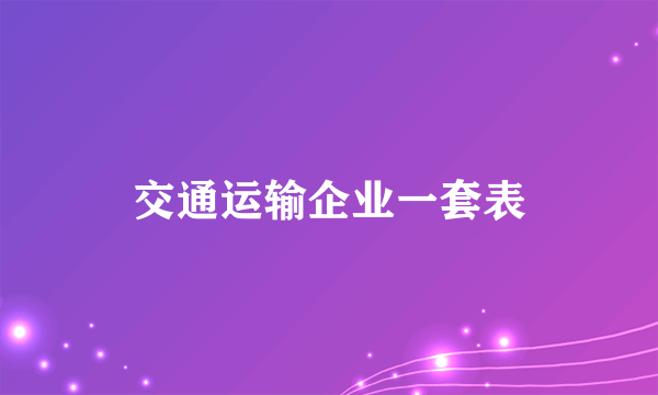 交通运输企业一套表