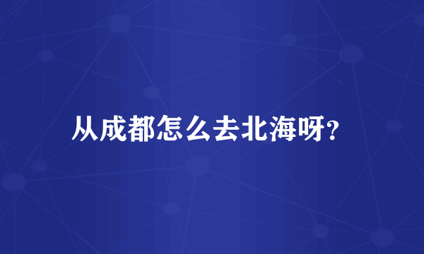 从成都怎么去北海呀？