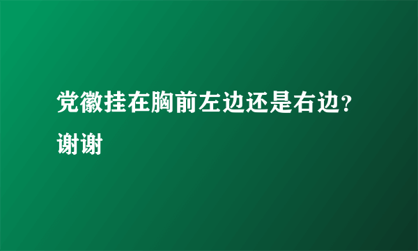 党徽挂在胸前左边还是右边？谢谢