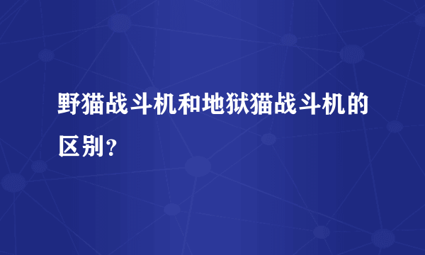 野猫战斗机和地狱猫战斗机的区别？