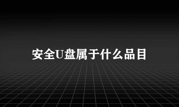 安全U盘属于什么品目