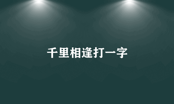 千里相逢打一字