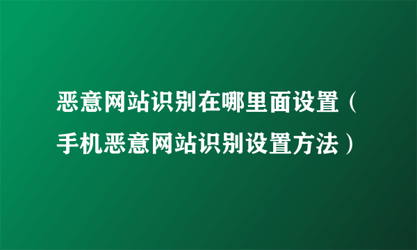 恶意网站识别在哪里面设置（手机恶意网站识别设置方法）