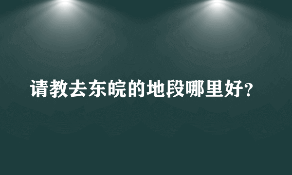 请教去东皖的地段哪里好？