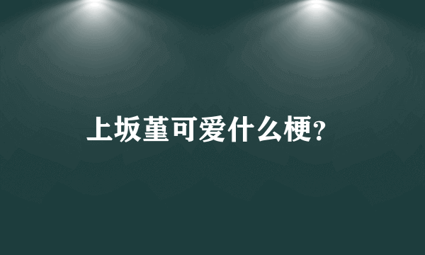 上坂堇可爱什么梗？