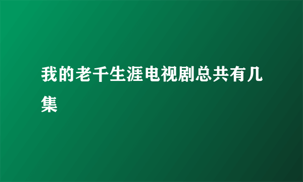 我的老千生涯电视剧总共有几集