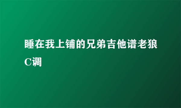 睡在我上铺的兄弟吉他谱老狼C调