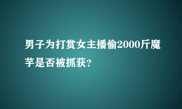 男子为打赏女主播偷2000斤魔芋是否被抓获？