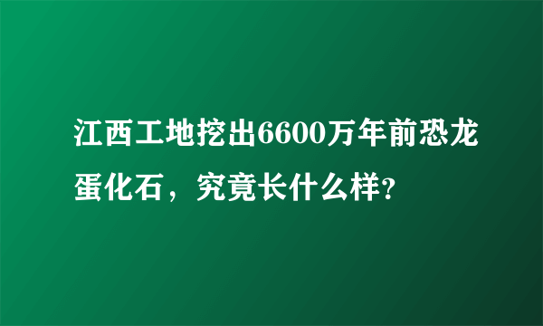 江西工地挖出6600万年前恐龙蛋化石，究竟长什么样？