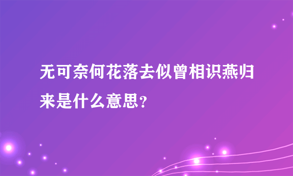 无可奈何花落去似曾相识燕归来是什么意思？