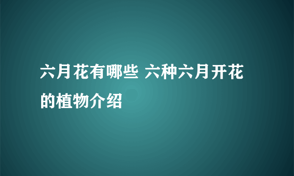 六月花有哪些 六种六月开花的植物介绍