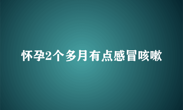 怀孕2个多月有点感冒咳嗽