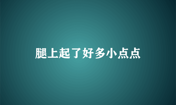 腿上起了好多小点点