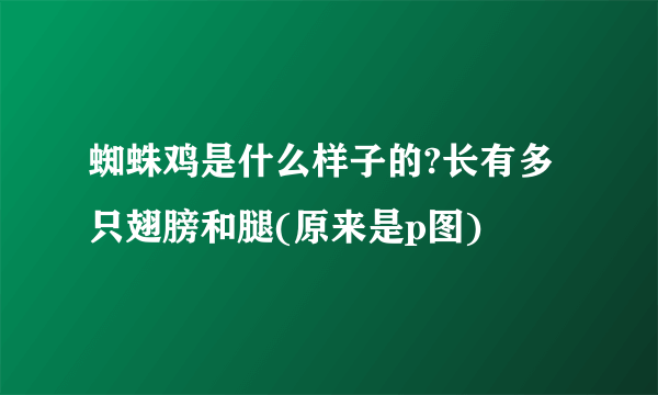 蜘蛛鸡是什么样子的?长有多只翅膀和腿(原来是p图)