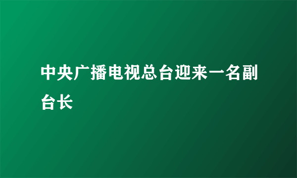 中央广播电视总台迎来一名副台长