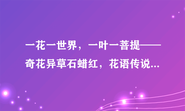 一花一世界，一叶一菩提——奇花异草石蜡红，花语传说赏花旅游