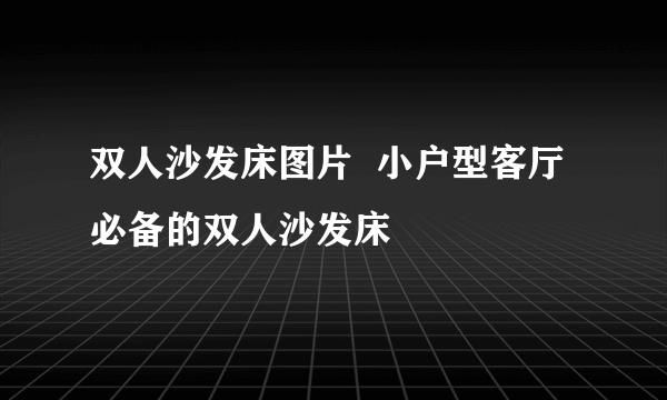 双人沙发床图片  小户型客厅必备的双人沙发床