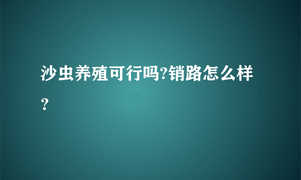 沙虫养殖可行吗?销路怎么样？