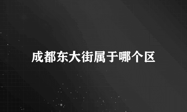 成都东大街属于哪个区