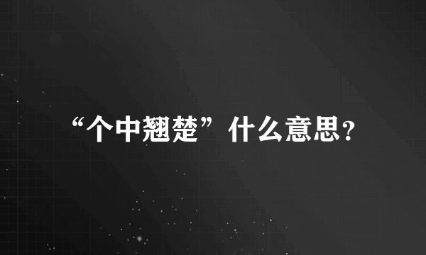 “个中翘楚”什么意思？