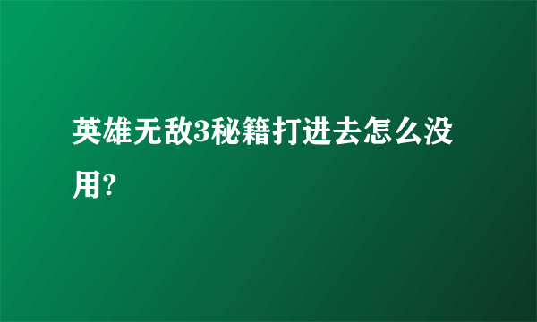 英雄无敌3秘籍打进去怎么没用?