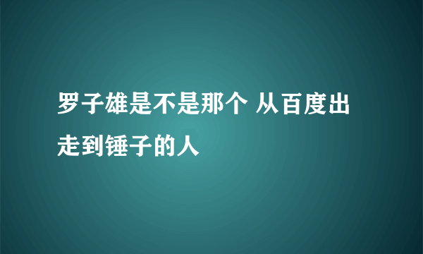 罗子雄是不是那个 从百度出走到锤子的人