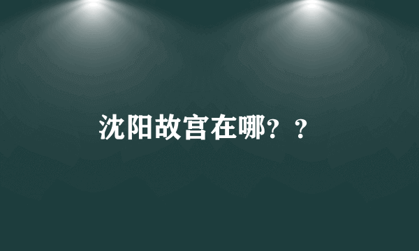 沈阳故宫在哪？？