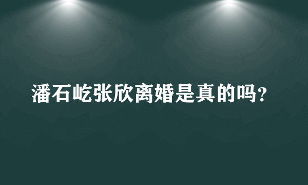 潘石屹张欣离婚是真的吗？