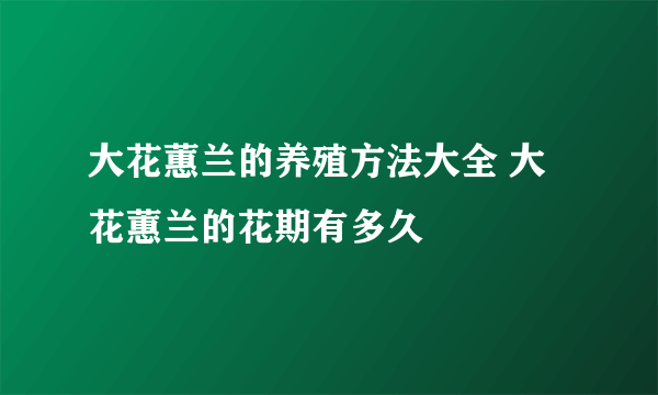 大花蕙兰的养殖方法大全 大花蕙兰的花期有多久