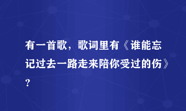 有一首歌，歌词里有《谁能忘记过去一路走来陪你受过的伤》？