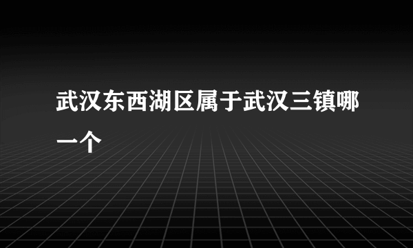 武汉东西湖区属于武汉三镇哪一个