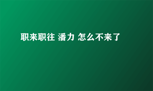 职来职往 潘力 怎么不来了