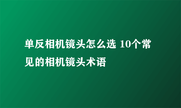 单反相机镜头怎么选 10个常见的相机镜头术语