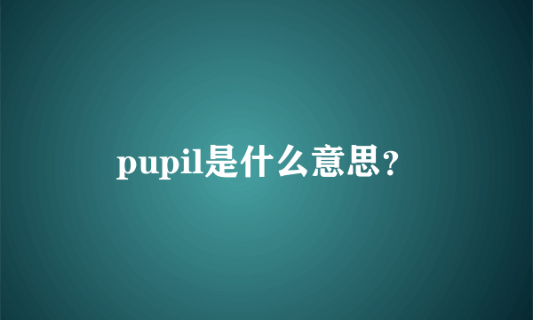 pupil是什么意思？