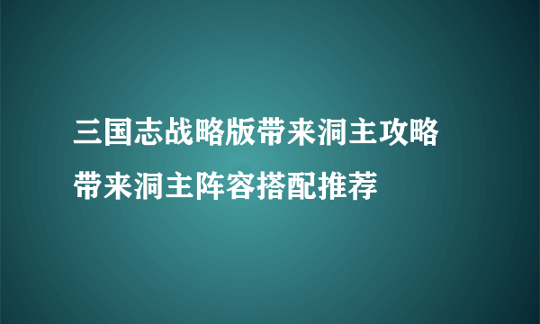 三国志战略版带来洞主攻略 带来洞主阵容搭配推荐