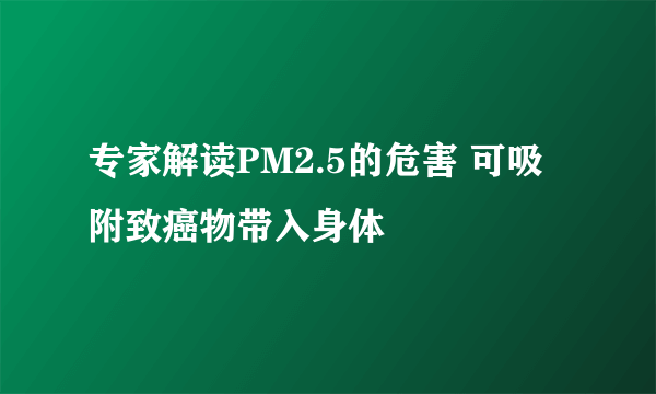 专家解读PM2.5的危害 可吸附致癌物带入身体