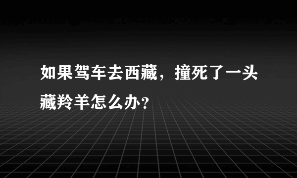 如果驾车去西藏，撞死了一头藏羚羊怎么办？