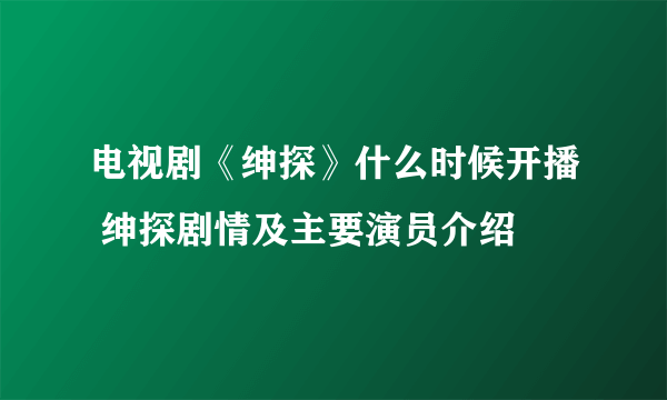 电视剧《绅探》什么时候开播 绅探剧情及主要演员介绍