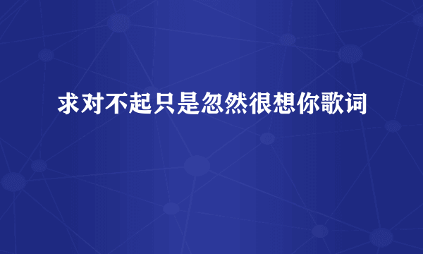 求对不起只是忽然很想你歌词