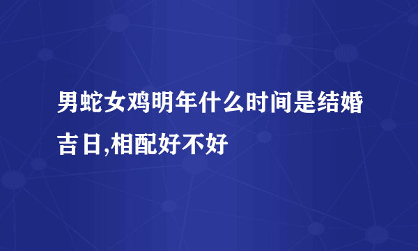 男蛇女鸡明年什么时间是结婚吉日,相配好不好