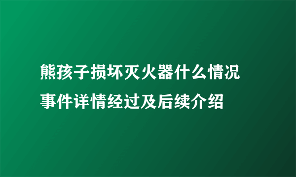 熊孩子损坏灭火器什么情况 事件详情经过及后续介绍