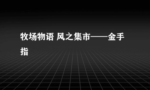 牧场物语 风之集市——金手指