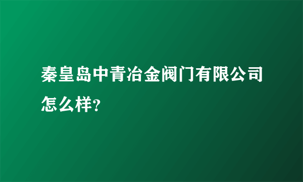 秦皇岛中青冶金阀门有限公司怎么样？