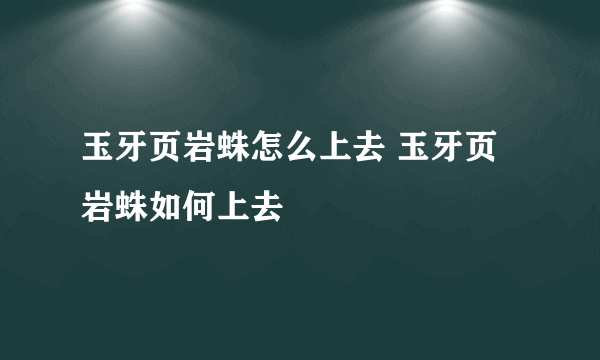 玉牙页岩蛛怎么上去 玉牙页岩蛛如何上去