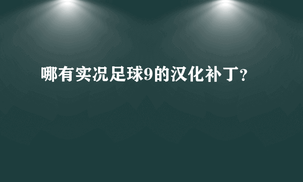 哪有实况足球9的汉化补丁？