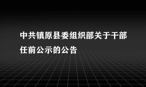 中共镇原县委组织部关于干部任前公示的公告