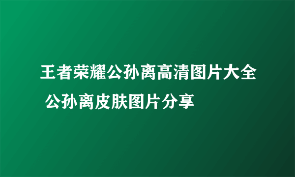 王者荣耀公孙离高清图片大全 公孙离皮肤图片分享