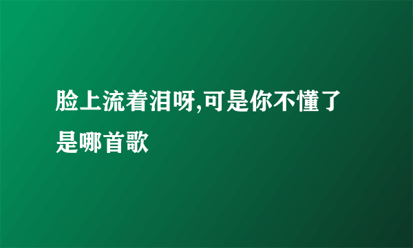 脸上流着泪呀,可是你不懂了是哪首歌