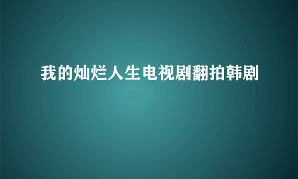 我的灿烂人生电视剧翻拍韩剧