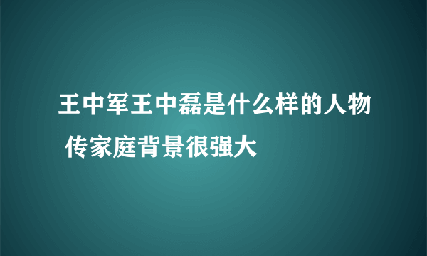 王中军王中磊是什么样的人物 传家庭背景很强大